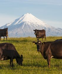 Mount Taranaki Neuseeland