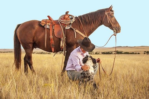 Cowboy in den USA