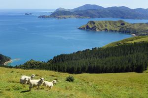 Nouvelle-Zélande