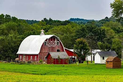 Landwirtschaft in der USA