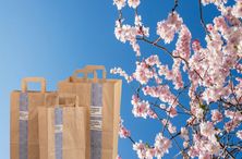 Jetzt vom Frühlingsrabatt aufs Verpackungsmaterial profitieren.